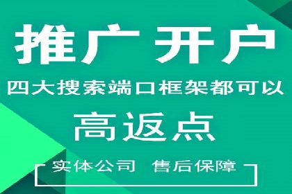 从小白到高手：百度竞价赚钱全记录